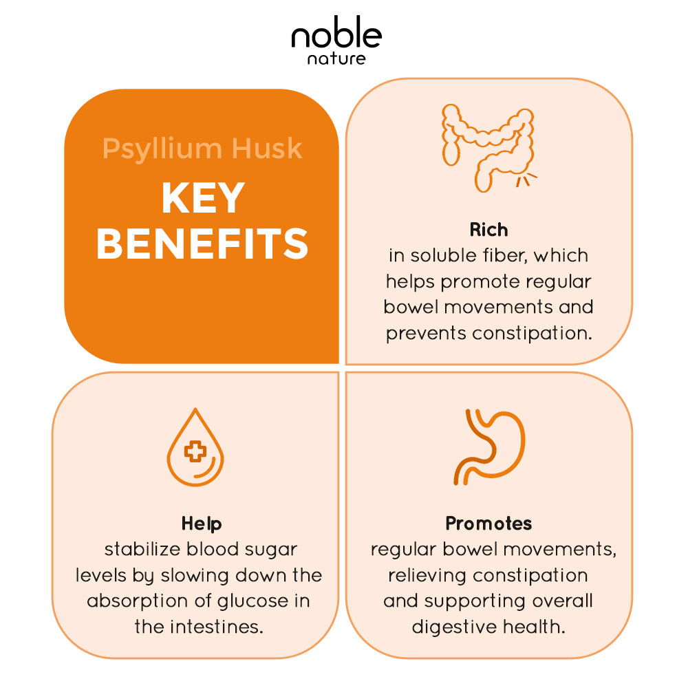 Natural Psyllium Husk Powder