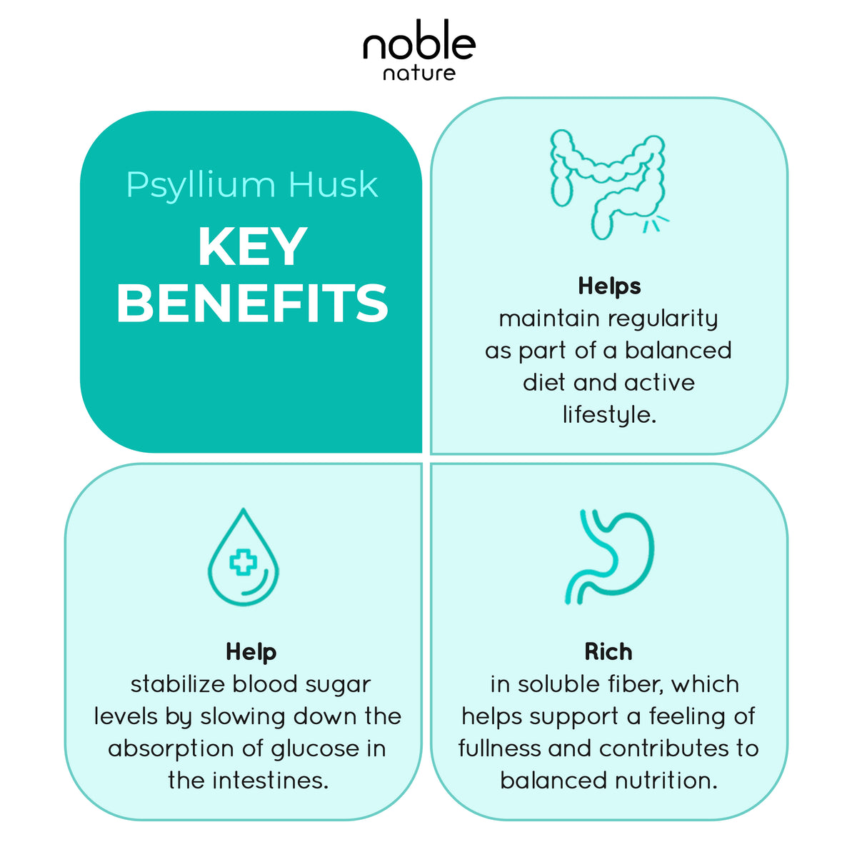 Natural Psyllium Husk Powder (16oz/454g)