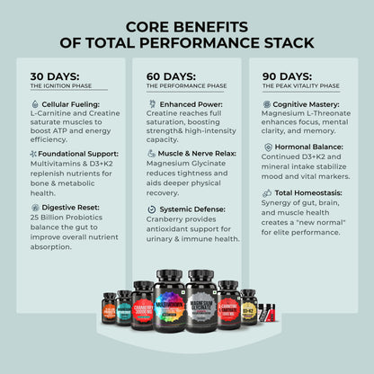 Total Performance Stack